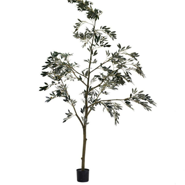 The Seasonal Aisle 243.8Cm Faux Olive Tree in Planter Wayfair.co.uk